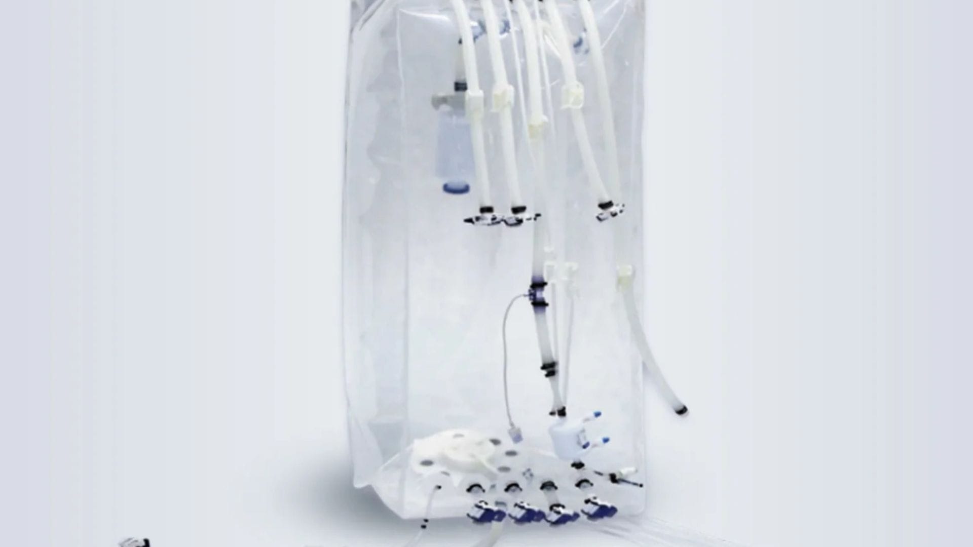 Lifecask™ RG Single-Use Bioreactor Bags — scale confidently from R&D to commercial runs